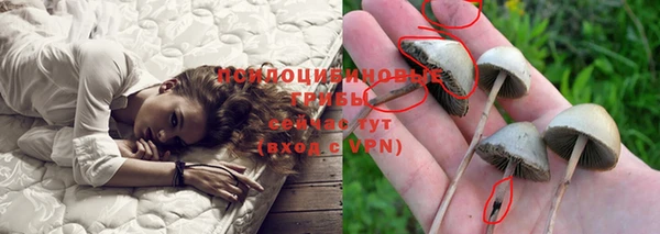 мяу мяу кристалл Гусев