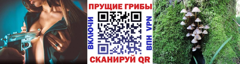 Псилоцибиновые грибы мицелий Назарово