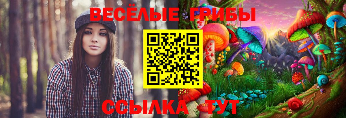 Назарово  Псилоцибиновые грибы GOLDEN TEACHER  Вход с VPN 