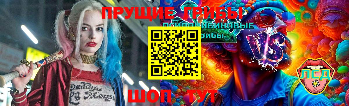 Псилоцибиновые грибы Psilocybe  Назарово 